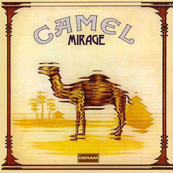 cover camel